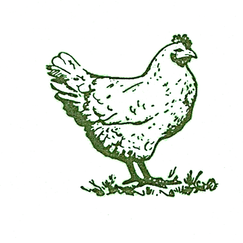 Hen logo image green